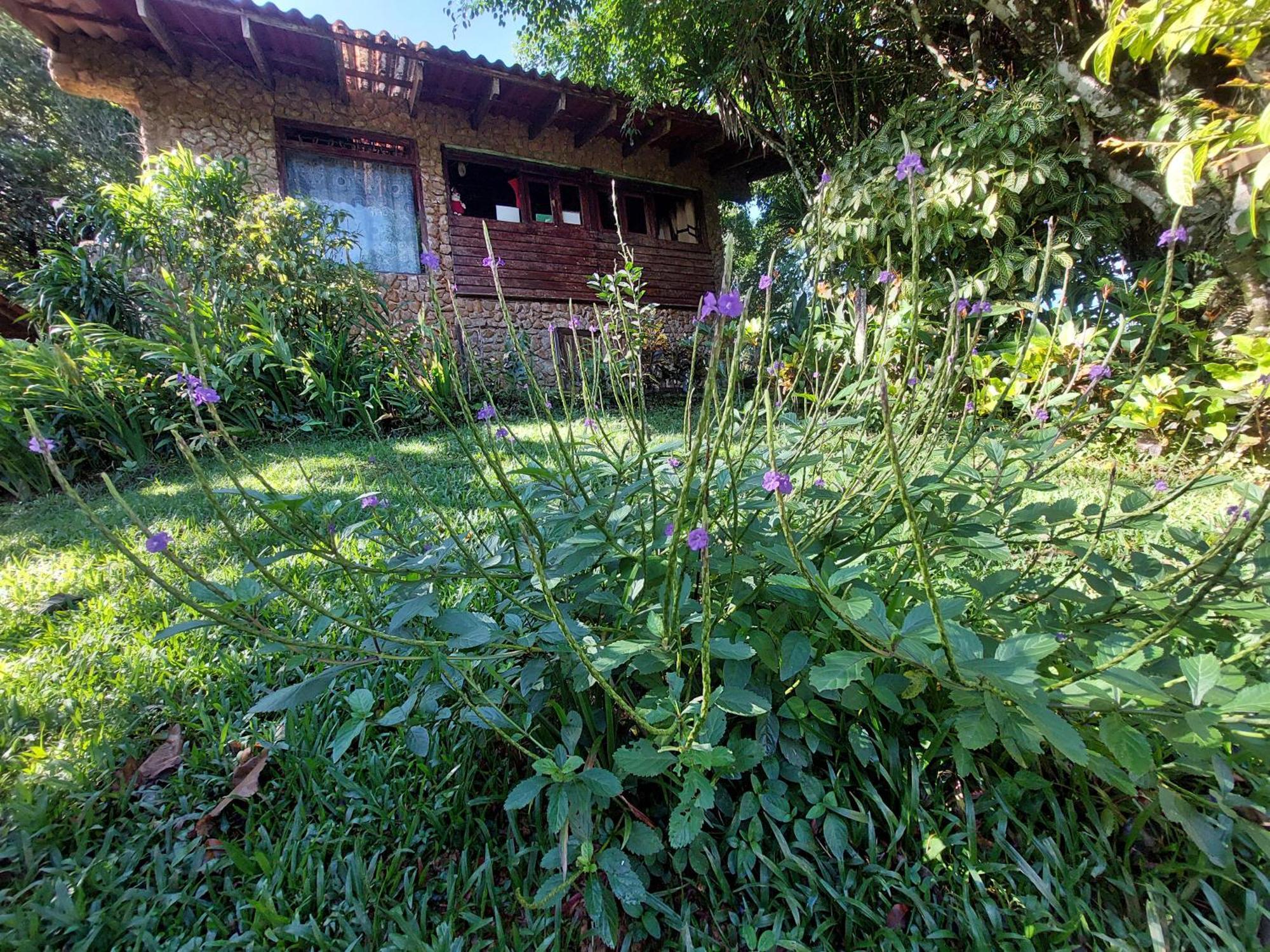 Mandalas Ecolodge Ecotourism Cerro Azul Pokoj fotografie