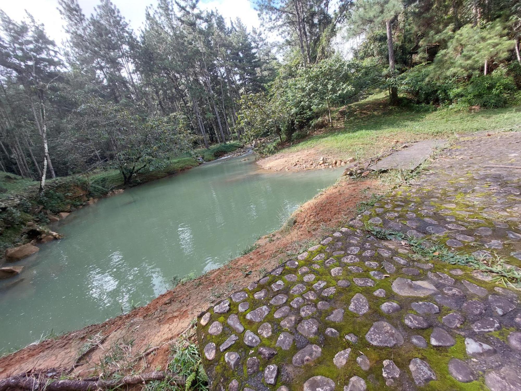 Mandalas Ecolodge Ecotourism Cerro Azul Pokoj fotografie